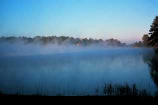 Steam fog