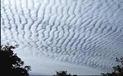 Altocumulus cloud