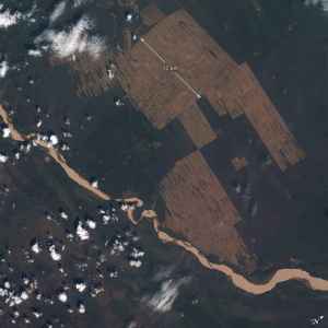 Bolivian Deforestation