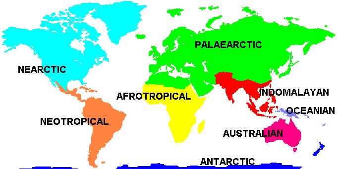 biogeographical realms