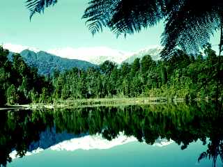evergreen_forest_detwyler.jpg (14660 bytes)