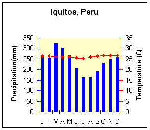 Iquitos, Peru climograph