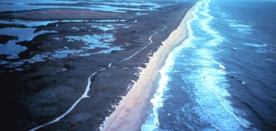 Barrier Island