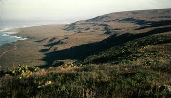 wave-cut terraces