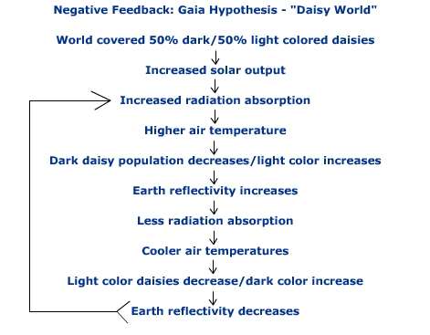 negative feedback