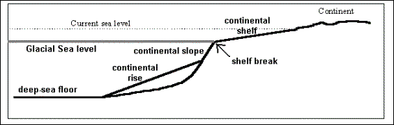 continental margins