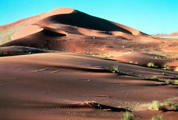star dunes
