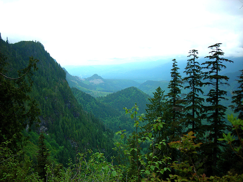 View of western slope of Cascade Range mountains.