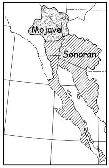 sonoran desert