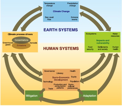 Anthropogenic drivers