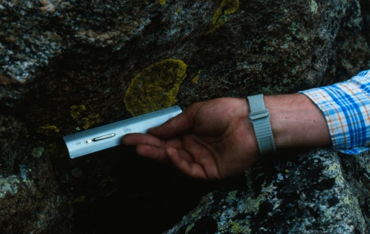 Lichen measurement