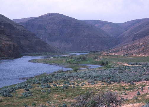 Near Condon, OR