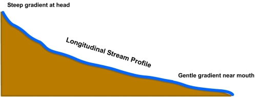 Graded Stream Definition, Formation & Function - Video & Lesson Transcript