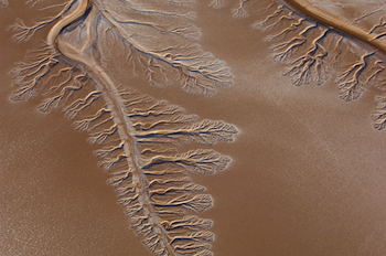 Colorado River delta