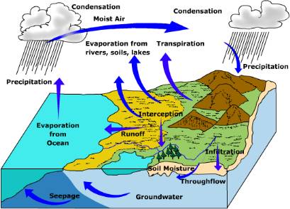 Hydrologic cycle