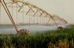 pivot_irrigation_Saudi_Arabia_F_Mattioli_FAO_11839_small.jpg (6710 bytes)