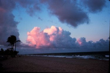 Cumulus clouds over the Atlantic Ocean 