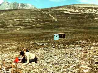 alpine_tundra_UNESCO_EB133.jpg (14879 bytes)