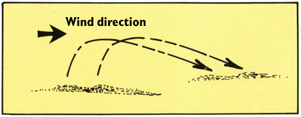 saltation