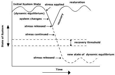 Diagram of system change
