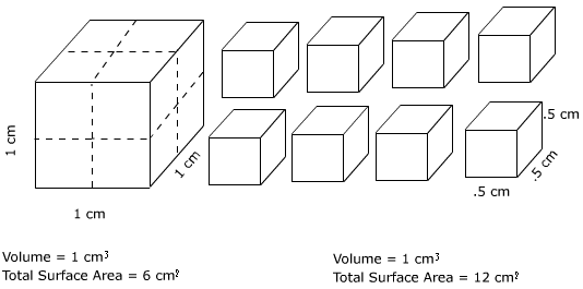 pieces.gif (8682 bytes)