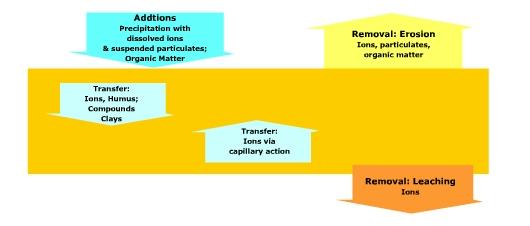 horizon development processes