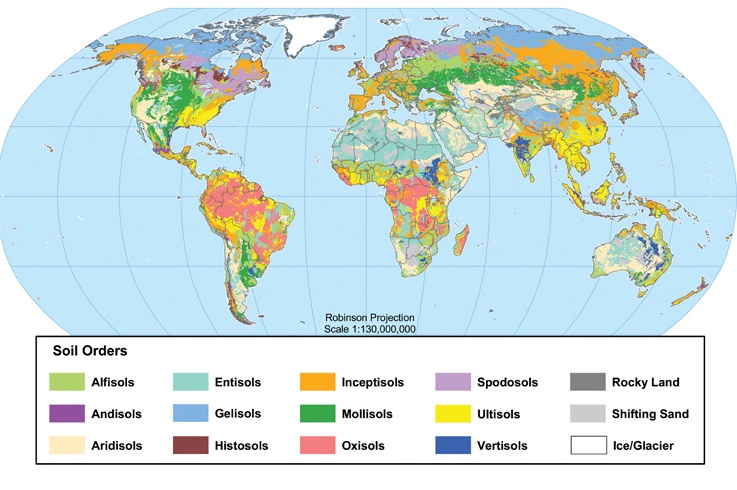 soil orders