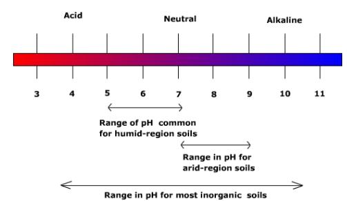 pH.jpg (11623 bytes)
