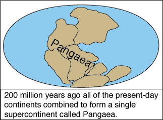 Pangea