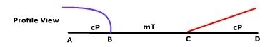 Profile of fronts